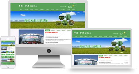 农业企业网站建设大全_网站建设费用计入什么科目整理)