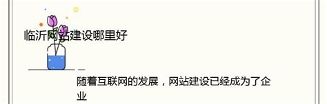 临沂网站建设包括什么汇总:临沂企业网站建设|2024年08月素材